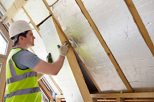 Best Insulation Installation Services in Devola, OH